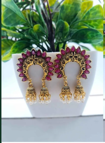 Rajasthani Grace with a Modern Soul