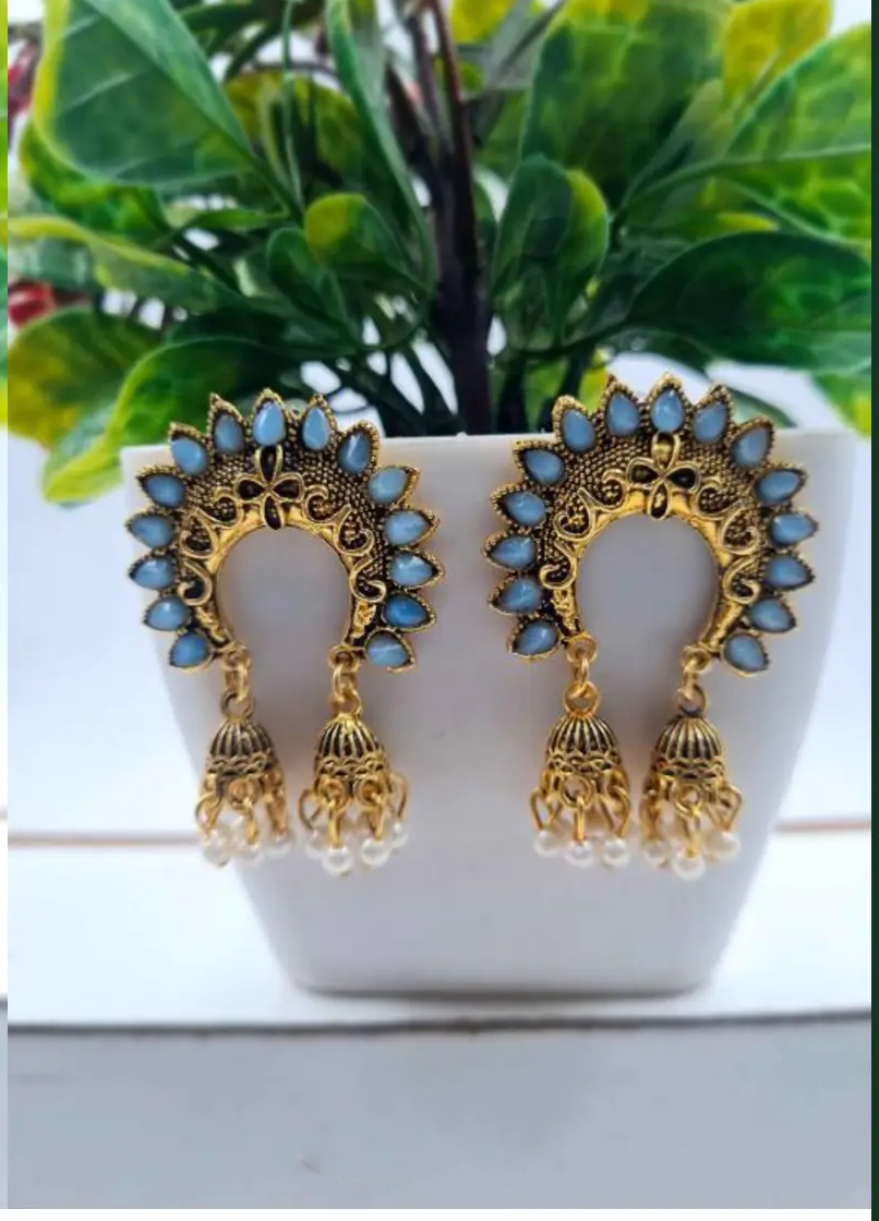 Rajasthani Grace with a Modern Soul